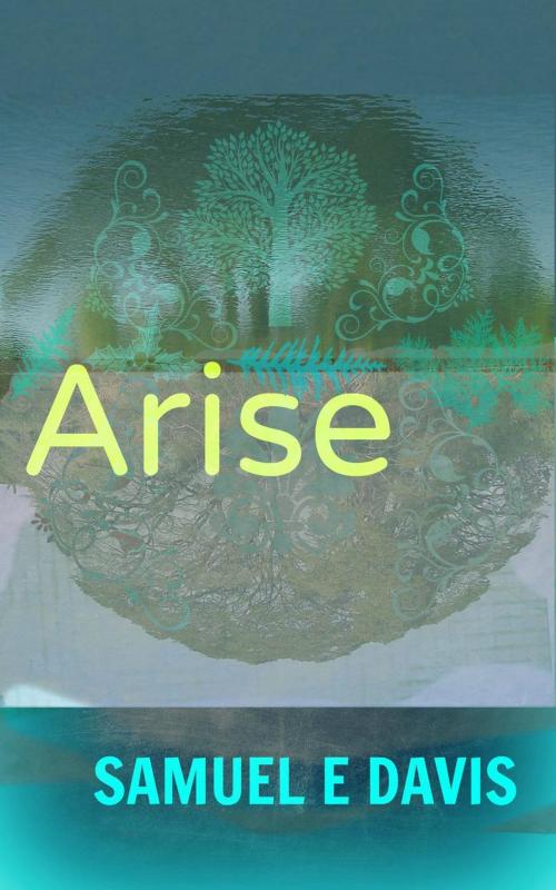 Cover of the book Arise by Samuel E Davis, Samuel E. Davis