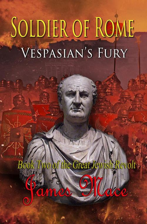 Cover of the book Soldier of Rome: Vespasian's Fury by James Mace, James Mace