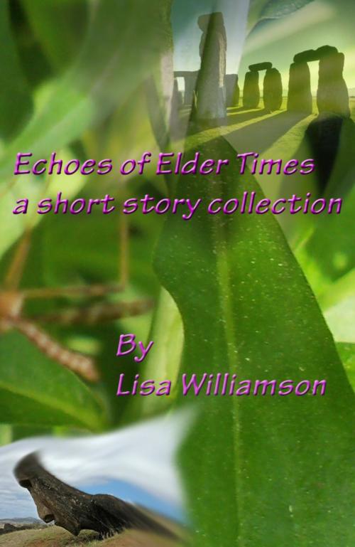 Cover of the book Echoes of Elder Times Collection by Lisa Williamson, Lisa  Williamson