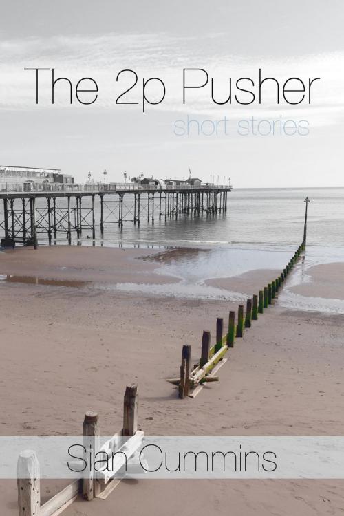 Cover of the book The 2p Pusher: short stories by Sian Cummins, Sian Cummins
