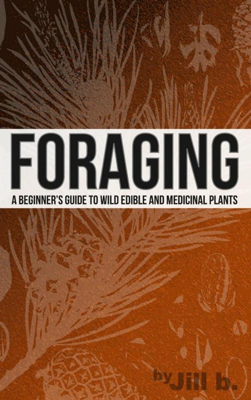 Cover of the book Foraging - A Beginner's Guide to Wild Edible and Medicinal Plants by Jill b., Jill b.