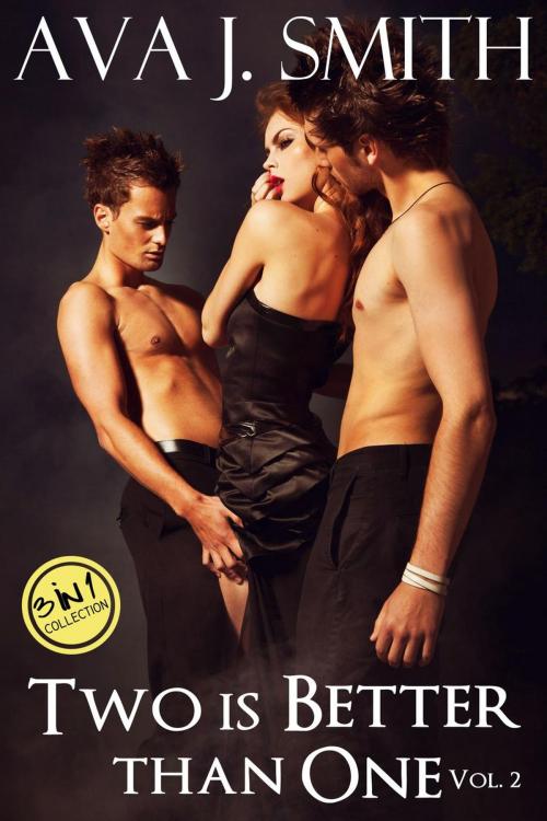 Cover of the book Two is Better than One Vol. 2 (mfm threesome bundle): 3 in 1 Collection by Ava J. Smith, Dark December LCC