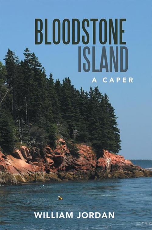 Cover of the book Bloodstone Island by William Jordan, Xlibris US