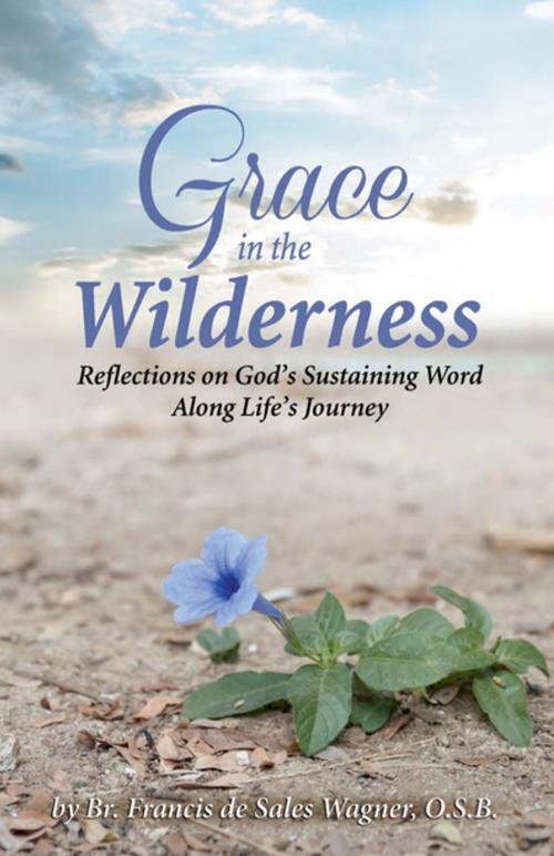 Cover of the book Grace in the Wilderness by Brother Francis Wagner, O.S.B., Abbey Press