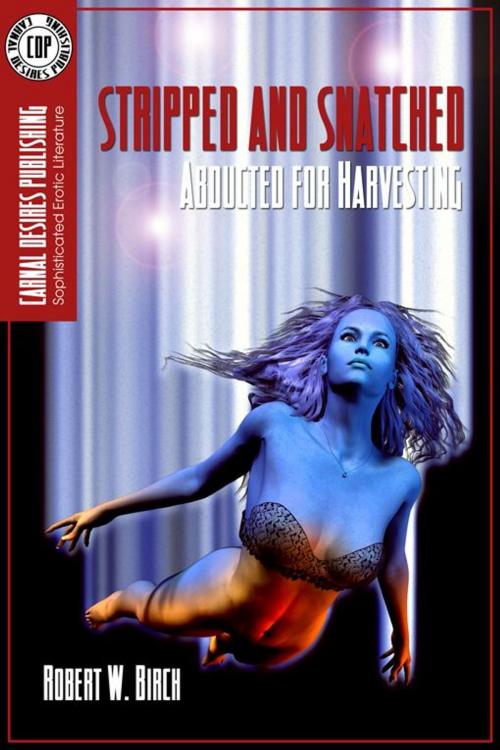 Cover of the book Stripped And Snatched by Robert W. Birch, Double Dragon Publishing
