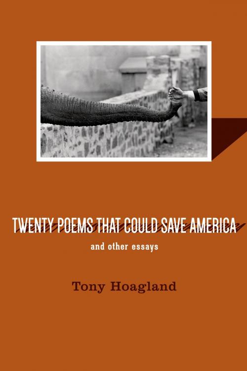 Cover of the book Twenty Poems That Could Save America and Other Essays by Tony Hoagland, Graywolf Press