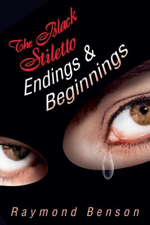 Cover of the book The Black Stiletto: Endings & Beginnings by Raymond Benson, Oceanview Publishing