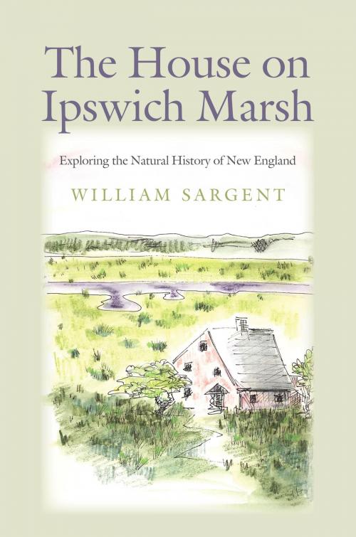 Cover of the book The House on Ipswich Marsh by William Sargent, University Press of New England