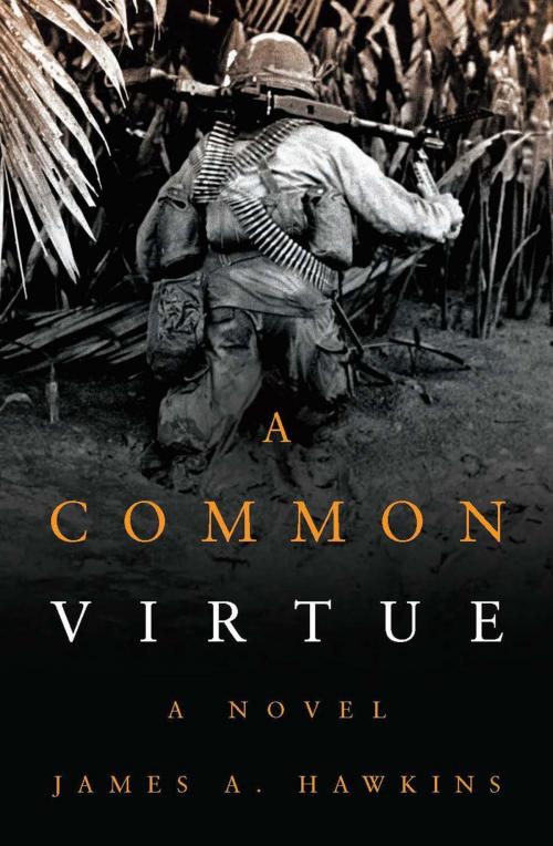 Cover of the book A Common Virtue by James A. Hawkins, Naval Institute Press