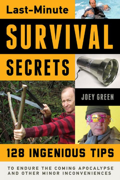 Cover of the book Last-Minute Survival Secrets by Joey Green, Chicago Review Press
