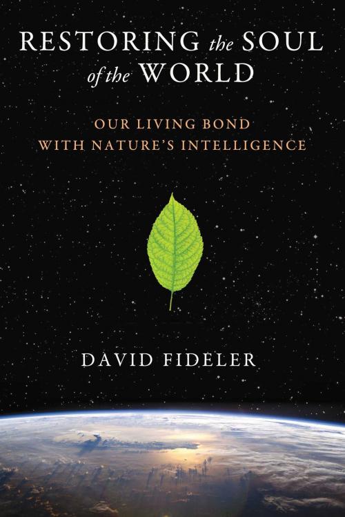 Cover of the book Restoring the Soul of the World by David Fideler, Inner Traditions/Bear & Company