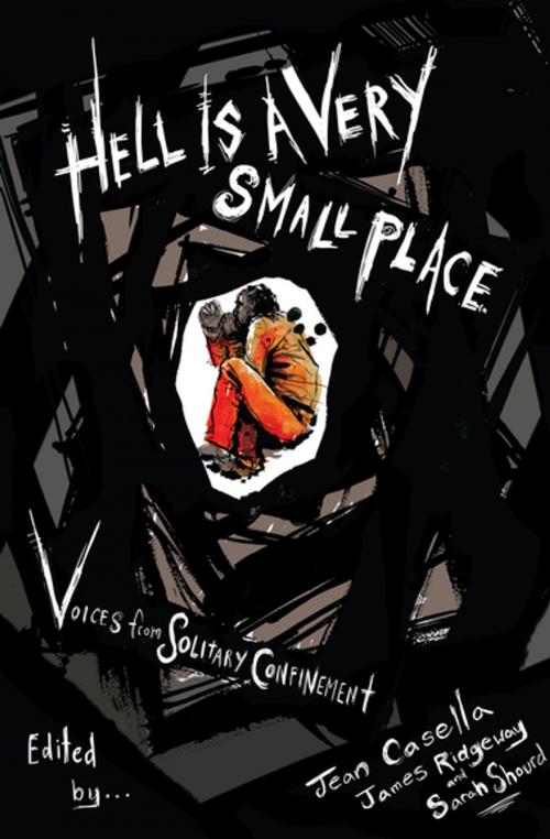 Cover of the book Hell Is a Very Small Place by Jean Casella, James Ridgeway, Sarah Shourd, The New Press