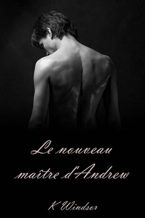 Cover of the book Le Nouveau Maître d'Andrew by K Windsor, Black Serpent Erotica