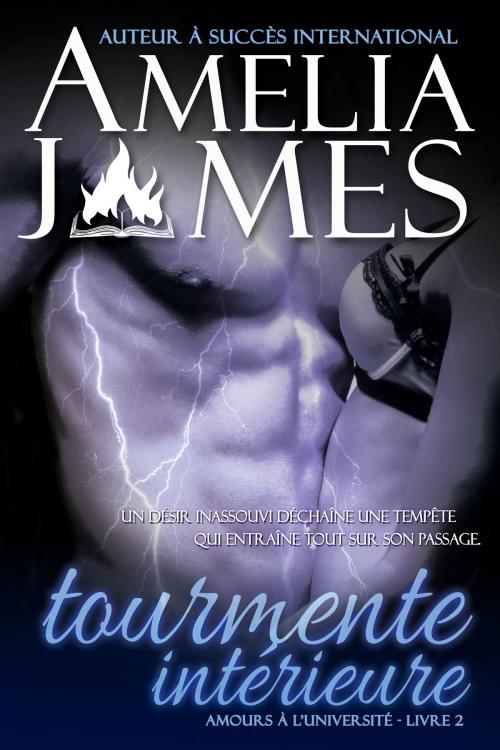 Cover of the book Tourmente intérieure by Amelia James, Evolved Publishing LLC