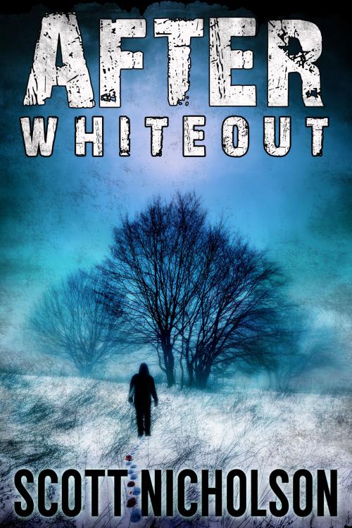 Cover of the book After: Whiteout by Scott Nicholson, Haunted Computer Books