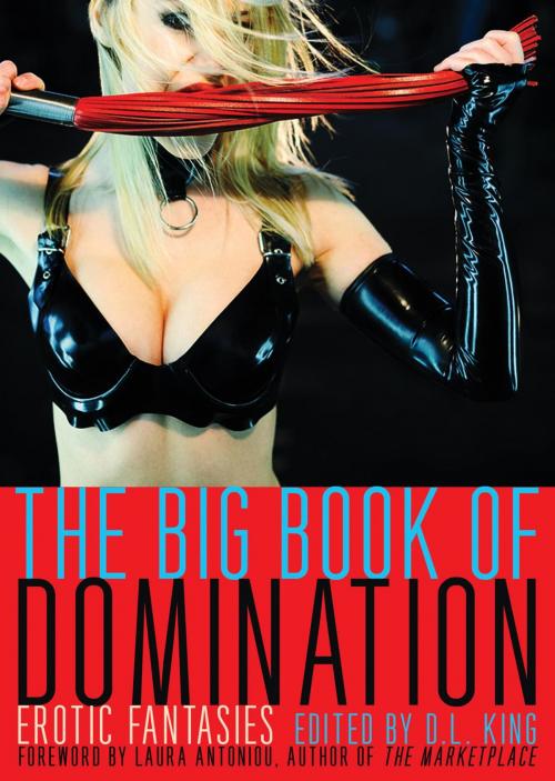 Cover of the book The Big Book of Domination by , Cleis Press