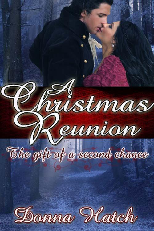 Cover of the book A Christmas Reunion by Donna  Hatch, The Wild Rose Press, Inc.