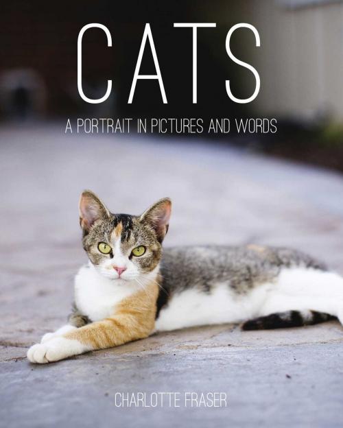 Cover of the book Cats by Charlotte Fraser, Skyhorse