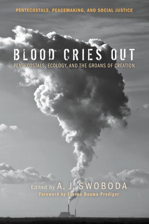 Cover of the book Blood Cries Out by , Wipf and Stock Publishers