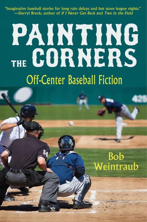 Cover of the book Painting the Corners by Bob Weintraub, Yucca