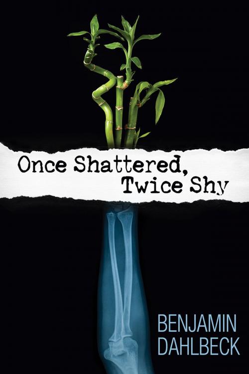 Cover of the book Once Shattered, Twice Shy by Benjamin Dahlbeck, Dreamspinner Press