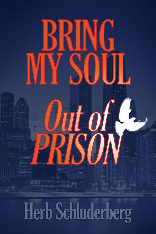 Cover of the book Bring My Soul Out of Prison by Herb Schluderberg, Redemption Press