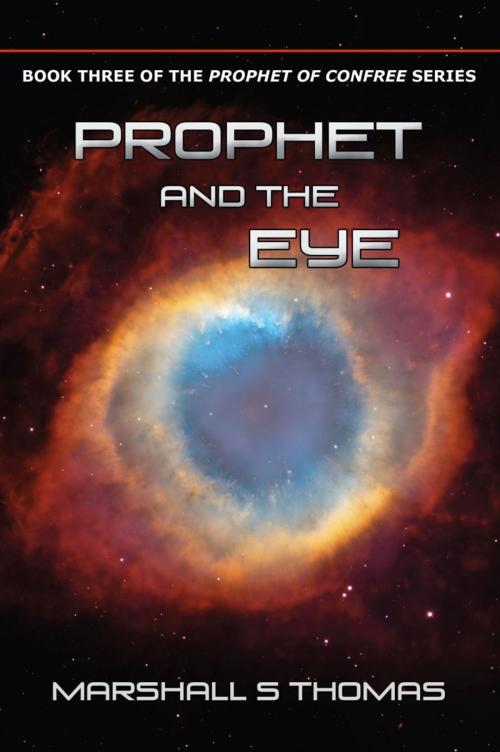 Cover of the book Prophet and the Eye by Marshall S Thomas, BookLocker.com, Inc.