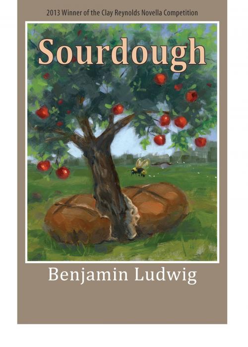 Cover of the book Sourdough by Benjamin Ludwig, Texas Review Press