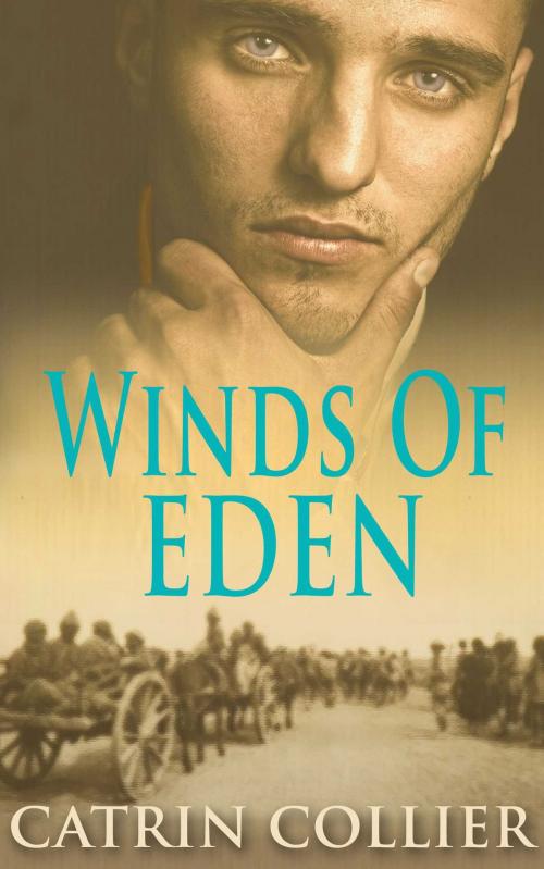 Cover of the book Winds of Eden by Catrin Collier, Accent Press