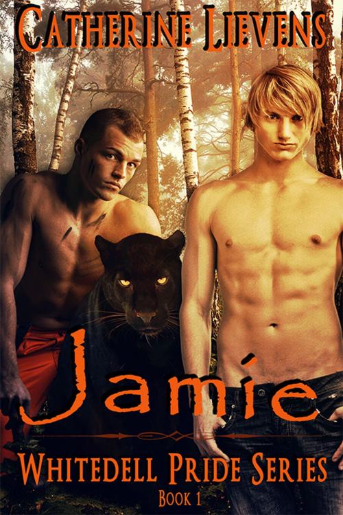 Cover of the book Jamie by Catherine Lievens, eXtasy Books Inc