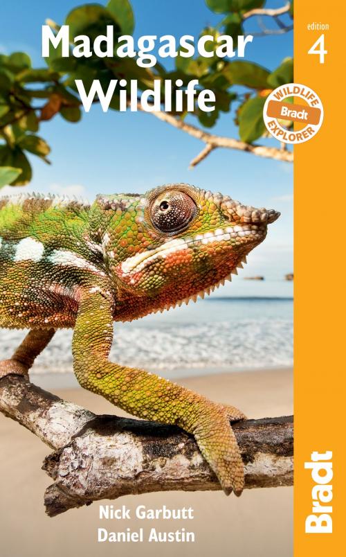 Cover of the book Madagascar Wildlife by Nick Garbutt, Daniel Austin, Bradt Travel Guides Ltd
