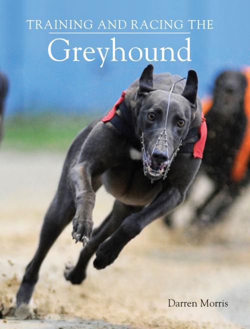 Cover of the book Training and Racing the Greyhound by Darren Morris, Crowood