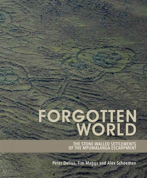 Cover of the book Forgotten World by Peter Delius, Tim Maggs, Alex Schoeman, Wits University Press