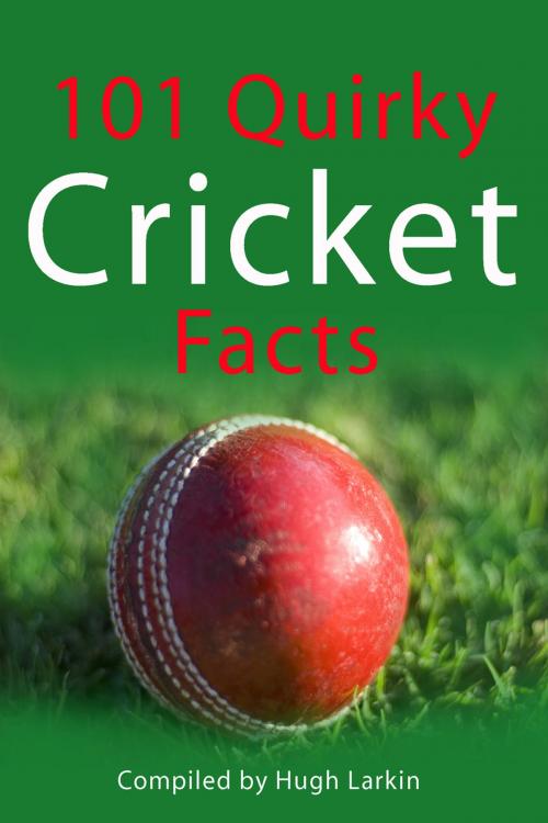 Cover of the book 101 Quirky Cricket Facts by Hugh Larkin, Andrews UK