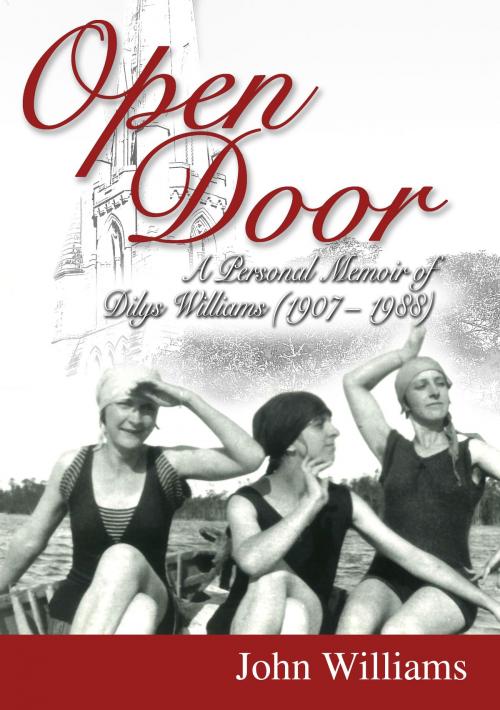 Cover of the book Open Door by John Williams, Australian eBook Publisher