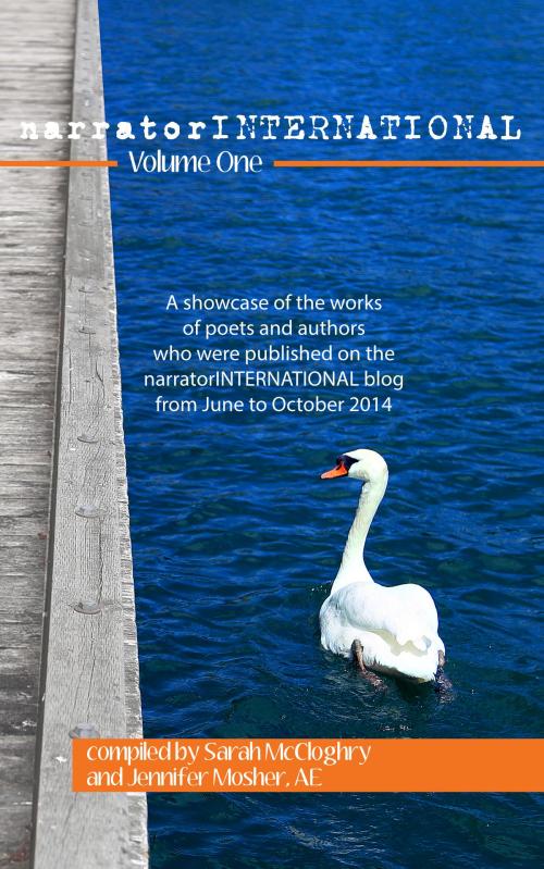 Cover of the book narratorINTERNATIONAL Volume One by narrator INTERNATIONAL, MoshPit Publishing