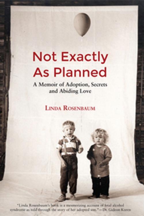 Cover of the book Not Exactly As Planned by Linda Rosenbaum, Demeter Press