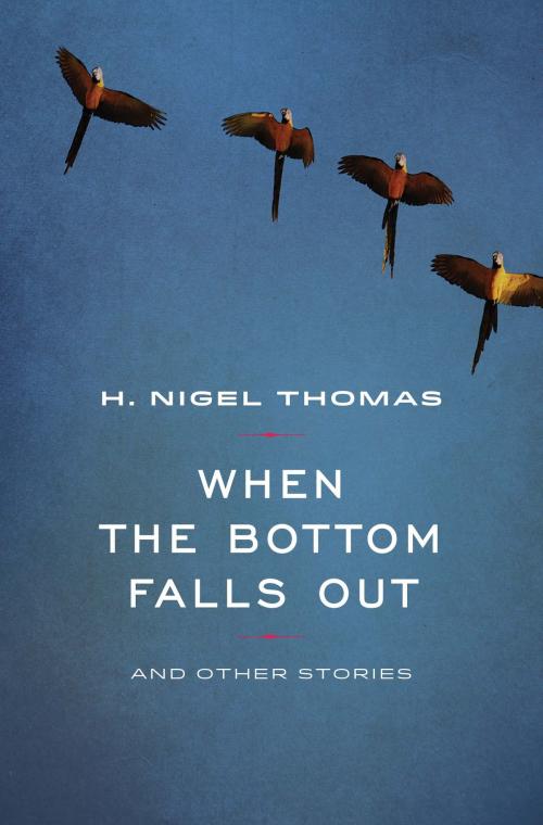 Cover of the book When the Bottom Falls Out by H Nigel Thomas, Mawenzi House