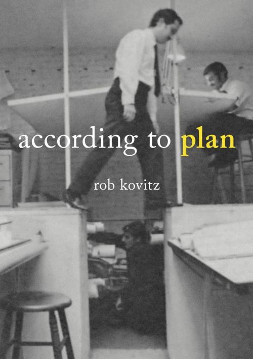 Cover of the book According to Plan by Rob Kovitz, Treyf Books