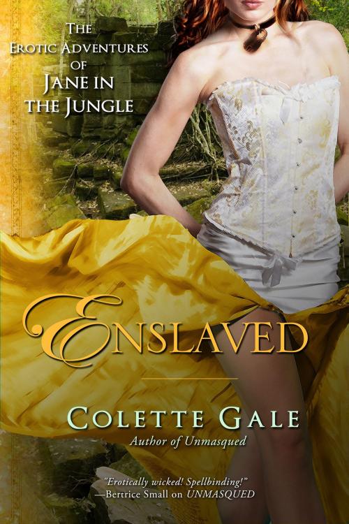 Cover of the book Enslaved by Colette Gale, Avid Press