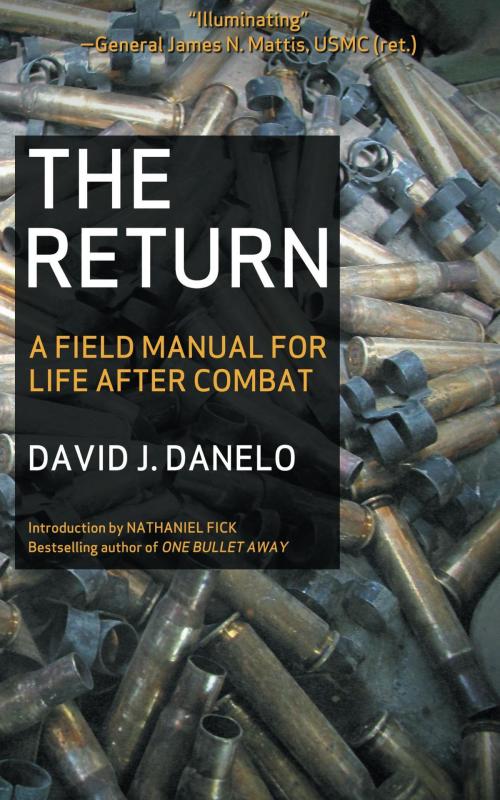 Cover of the book The Return by David J. Danelo, Black Irish Entertainment LLC