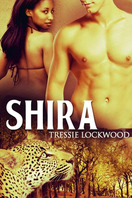 Cover of the book Shira by Tressie Lockwood, Tressie Lockwood