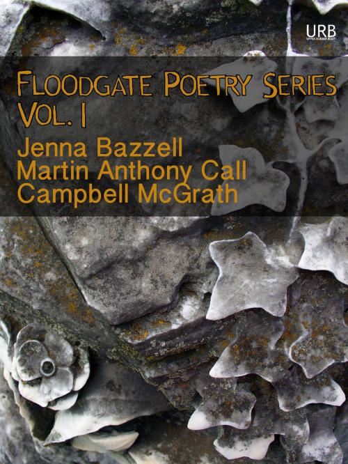 Cover of the book Floodgate Poetry Series Vol. 1 by Campbell McGrath, Jenna Bazzell, Martin Anthony Call, Upper Rubber Boot Books