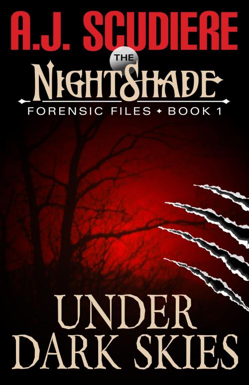 Cover of the book Under Dark Skies by A.J. Scudiere, Griffyn Ink