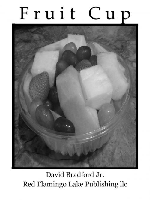 Cover of the book Fruit Cup by David Bradford Jr., Red Flamingo Lake Publishing llc