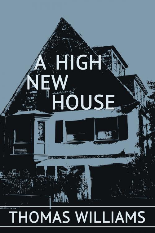 Cover of the book A High New House by Thomas Williams, Dzanc Books