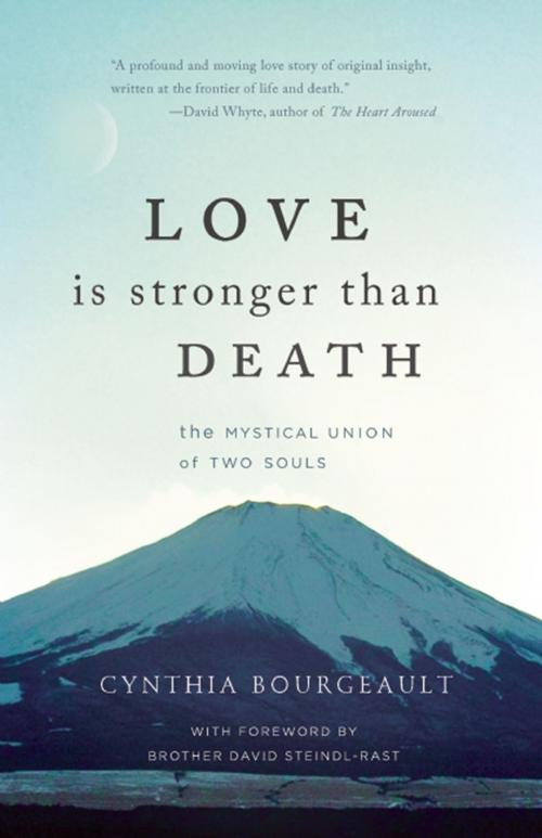 Cover of the book Love is Stronger than Death by Cynthia Bourgeault, Monkfish Book Publishing