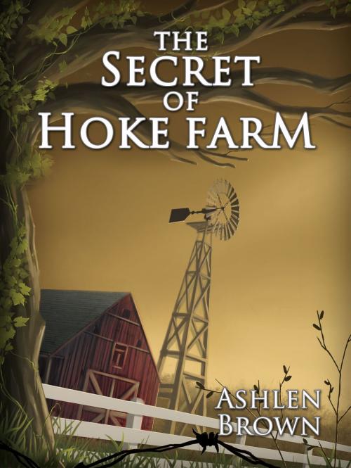Cover of the book The Secret of Hoke Farm by Ashlen Brown, Ashlen Brown