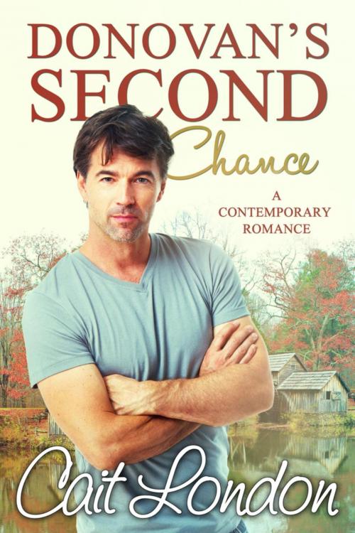 Cover of the book Donovan's Second Chance by Cait London, Lois Kleinsasser
