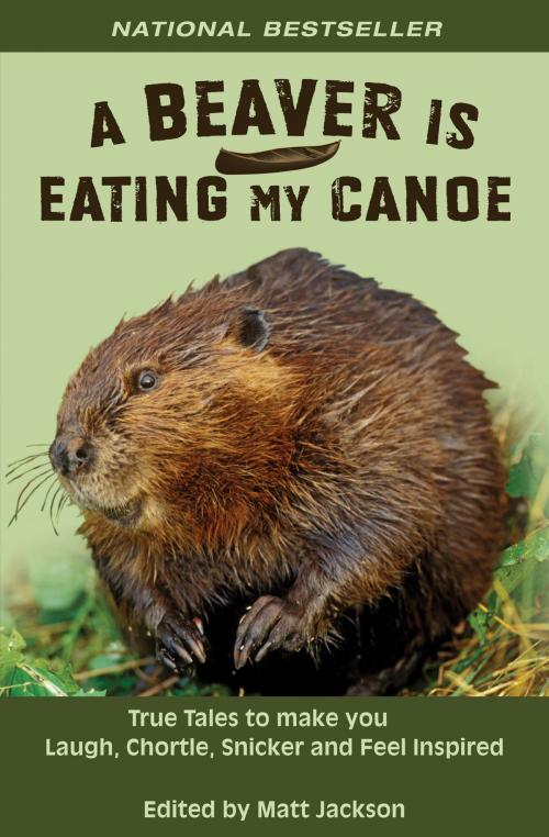 Cover of the book A Beaver is Eating My Canoe by Matt Jackson, Summit Studios